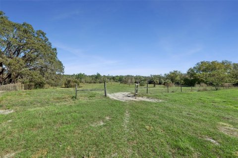 Land in Oviedo, Florida № 2100815 - photo 7