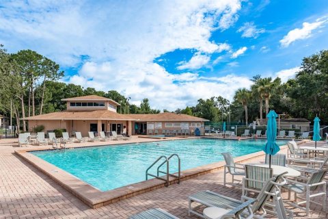Condo in New Port Richey, Florida, 2 bedrooms  № 1817337 - photo 29