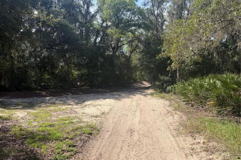 Terrain à vendre à Ocklawaha, Floride № 2203635 - photo 5
