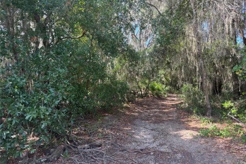 Terrain à vendre à Ocklawaha, Floride № 2203635 - photo 6