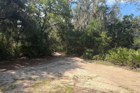 Terrain à vendre à Ocklawaha, Floride № 2203635 - photo 4