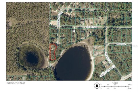 Terrain à Ocklawaha, Floride № 2203635