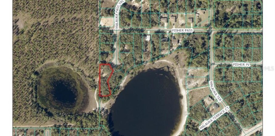 Terrain à Ocklawaha, Floride № 2203635