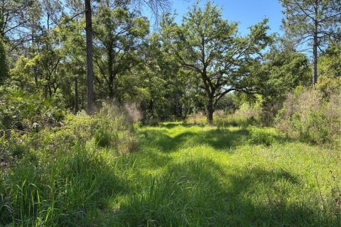Terrain à vendre à Bunnell, Floride № 2217276 - photo 5