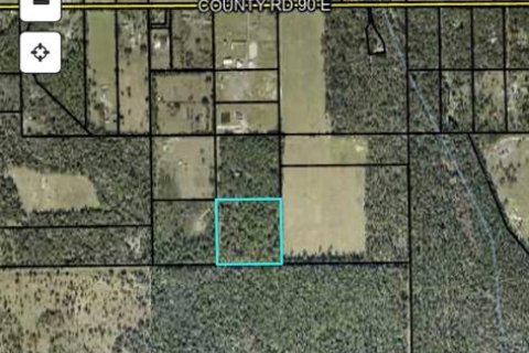 Terrain à vendre à Bunnell, Floride № 2217276 - photo 2