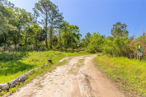 Terrain à vendre à Bunnell, Floride № 2217276 - photo 3