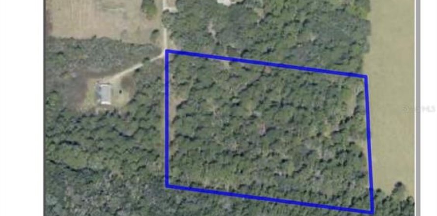 Terrain à Bunnell, Floride № 2217276