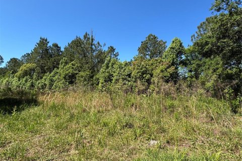 Terrain à vendre à Bunnell, Floride № 2217276 - photo 8