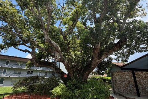 Condo in Winter Haven, Florida, 3 bedrooms  № 2222604 - photo 24