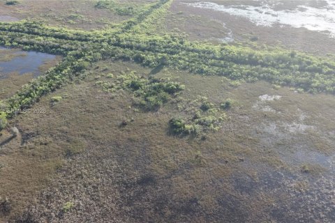 Land in Miami-Dade, Florida № 2051348 - photo 8