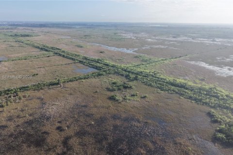 Land in Miami-Dade, Florida № 2051348 - photo 20