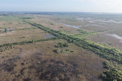 Land in Miami-Dade, Florida № 2051348 - photo 6