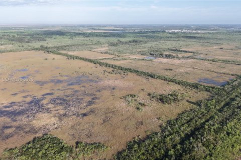 Land in Miami-Dade, Florida № 2051348 - photo 18