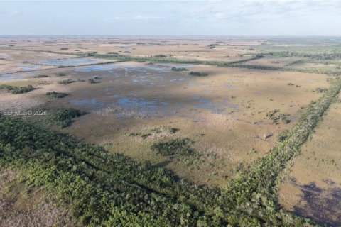 Land in Miami-Dade, Florida № 2051348 - photo 14