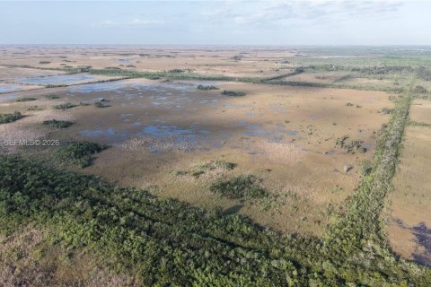 Land in Miami-Dade, Florida № 2051348 - photo 4