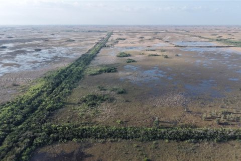 Land in Miami-Dade, Florida № 2051348 - photo 12
