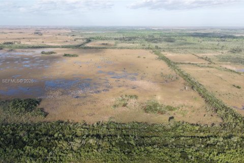 Land in Miami-Dade, Florida № 2051348 - photo 15