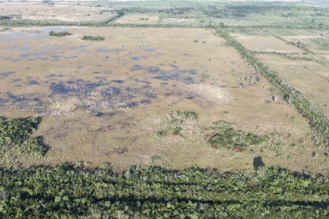 Land in Miami-Dade, Florida № 2051348 - photo 21