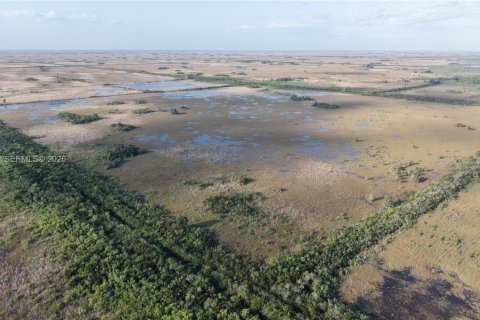 Land in Miami-Dade, Florida № 2051348 - photo 13