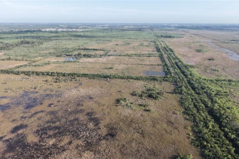 Land in Miami-Dade, Florida № 2051348 - photo 5