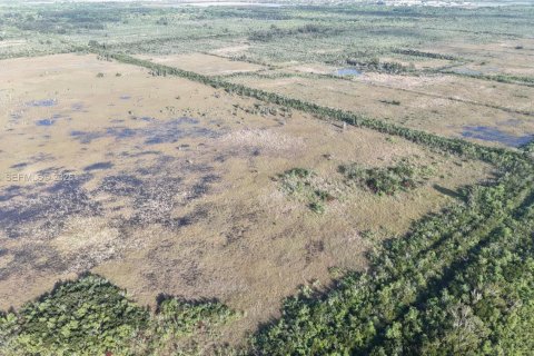 Land in Miami-Dade, Florida № 2051348 - photo 3