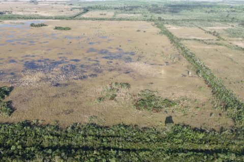 Land in Miami-Dade, Florida № 2051348 - photo 9