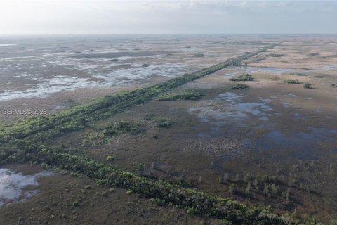 Land in Miami-Dade, Florida № 2051348 - photo 11