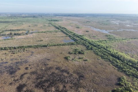 Land in Miami-Dade, Florida № 2051348 - photo 19