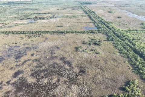 Land in Miami-Dade, Florida № 2051348 - photo 10