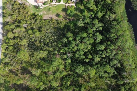 Land in Sebring, Florida № 1444989 - photo 20