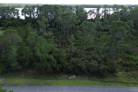 Land in Sebring, Florida № 1444989 - photo 2