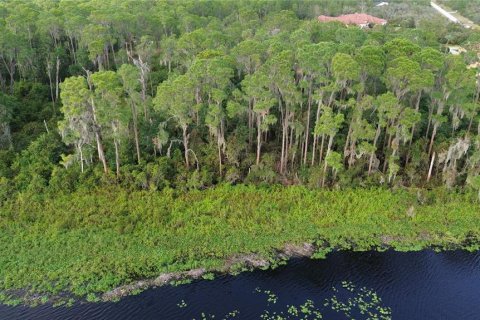 Land in Sebring, Florida № 1444989 - photo 3
