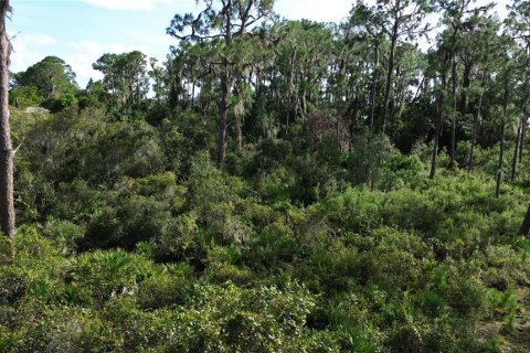 Land in Sebring, Florida № 1444989 - photo 10