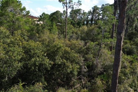 Land in Sebring, Florida № 1444989 - photo 15