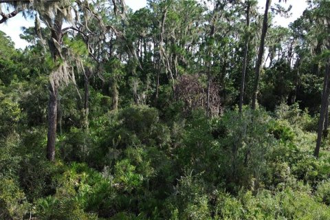 Land in Sebring, Florida № 1444989 - photo 9
