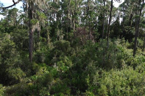 Land in Sebring, Florida № 1444989 - photo 14