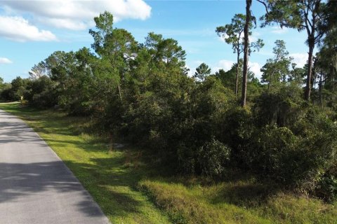 Land in Sebring, Florida № 1444989 - photo 11