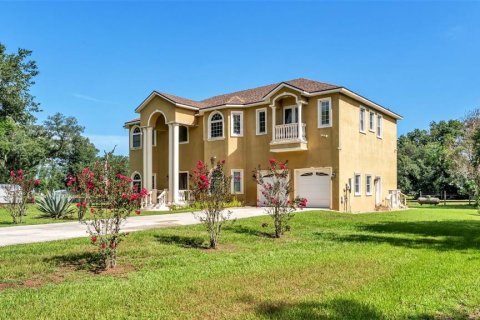 Villa ou maison à vendre à Plant City, Floride: 5 chambres, 474.92 m2 № 2197062 - photo 2
