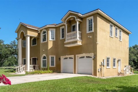 Villa ou maison à vendre à Plant City, Floride: 5 chambres, 474.92 m2 № 2197062 - photo 3