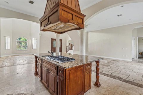 Villa ou maison à vendre à Plant City, Floride: 5 chambres, 474.92 m2 № 2197062 - photo 15