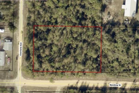Land in Fountain, Florida № 2361343