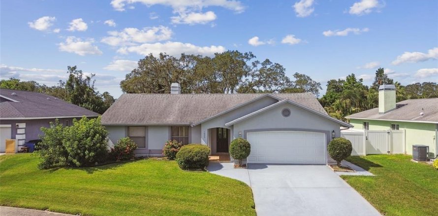 House in Tarpon Springs, Florida 3 bedrooms, 167.22 sq.m. № 1840247