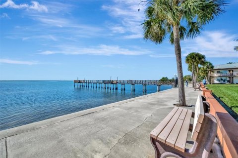 Condo in Saint Petersburg, Florida, 2 bedrooms  № 2211809 - photo 30