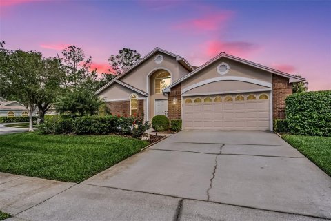 House in Tampa, Florida 3 bedrooms, 216.56 sq.m. № 1613817 - photo 1