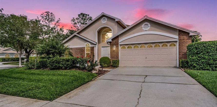 House in Tampa, Florida 3 bedrooms, 216.56 sq.m. № 1613817