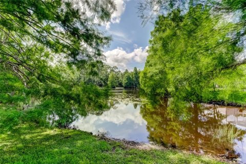 Casa en alquiler en Tampa, Florida, 4 dormitorios, 227.89 m2 № 1785386 - foto 21