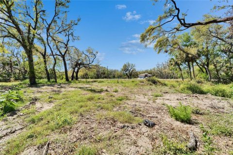 Land in Wimauma, Florida № 1572513 - photo 2