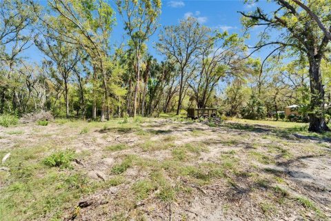 Land in Wimauma, Florida № 1572513 - photo 10