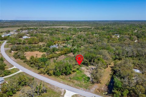 Land in Wimauma, Florida № 1572513 - photo 19