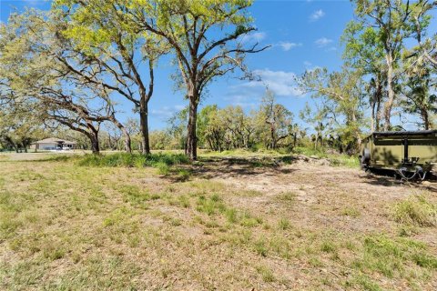 Land in Wimauma, Florida № 1572513 - photo 6